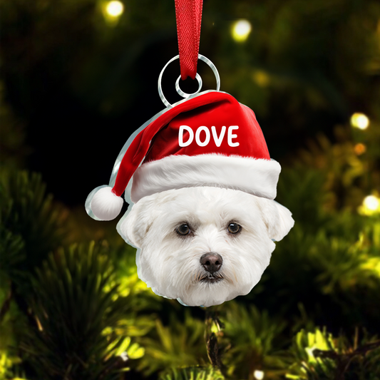 Pet Funny Christmas Face - Personalized Pet Photo Ornament