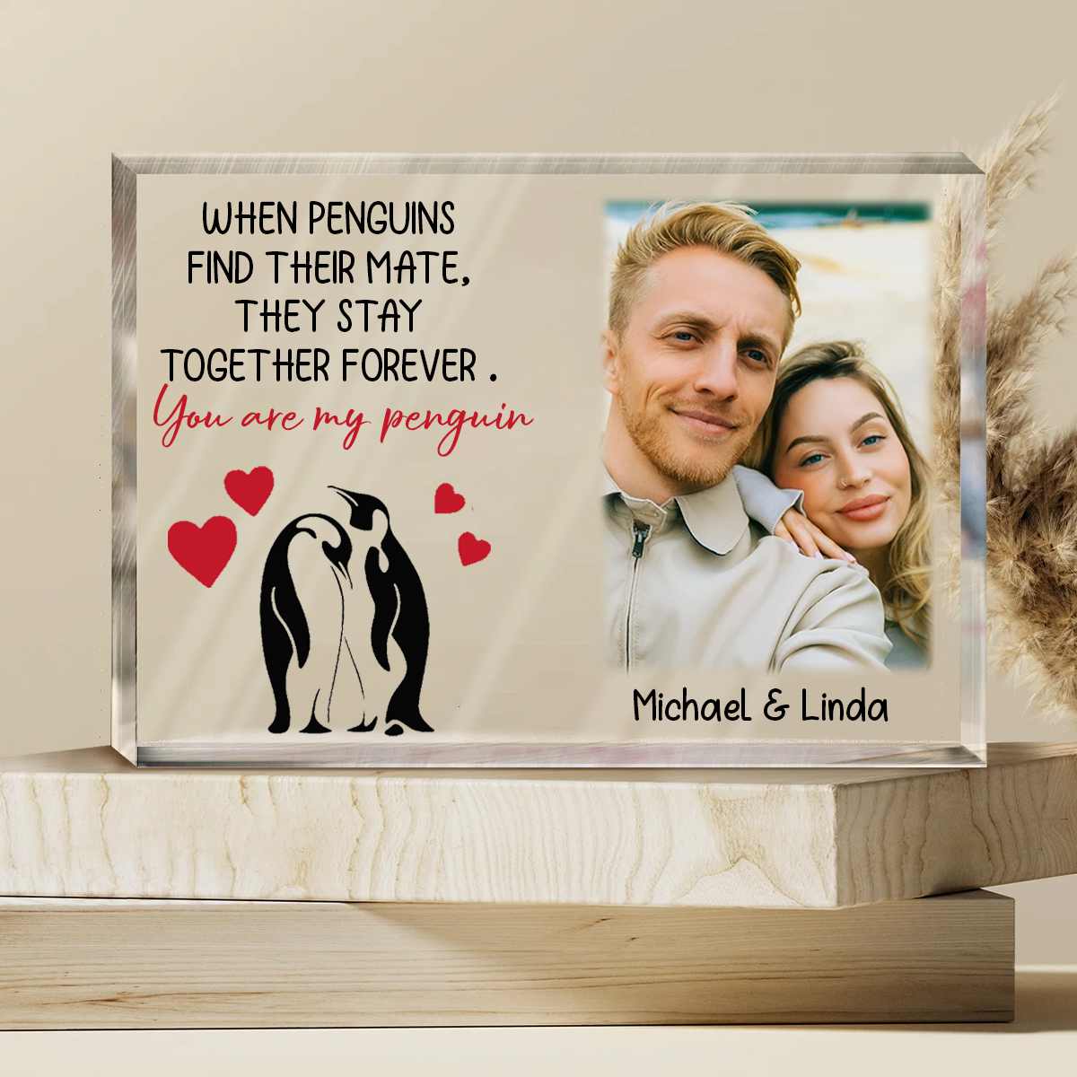 Custom Photo You Are My Penguin - Couple Personalized Custom Rectangle Shaped Acrylic Plaque - Gift For Husband Wife, Anniversary