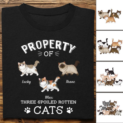 Cat Lover - The Spoiled Rotten Cats - Personalized Unisex T - Shirt - Makezbright Gifts