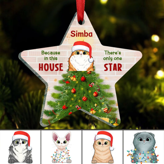 Cat Lovers - Because In This House There's Only One Star - Personalized Star Ornament - Makezbright Gifts