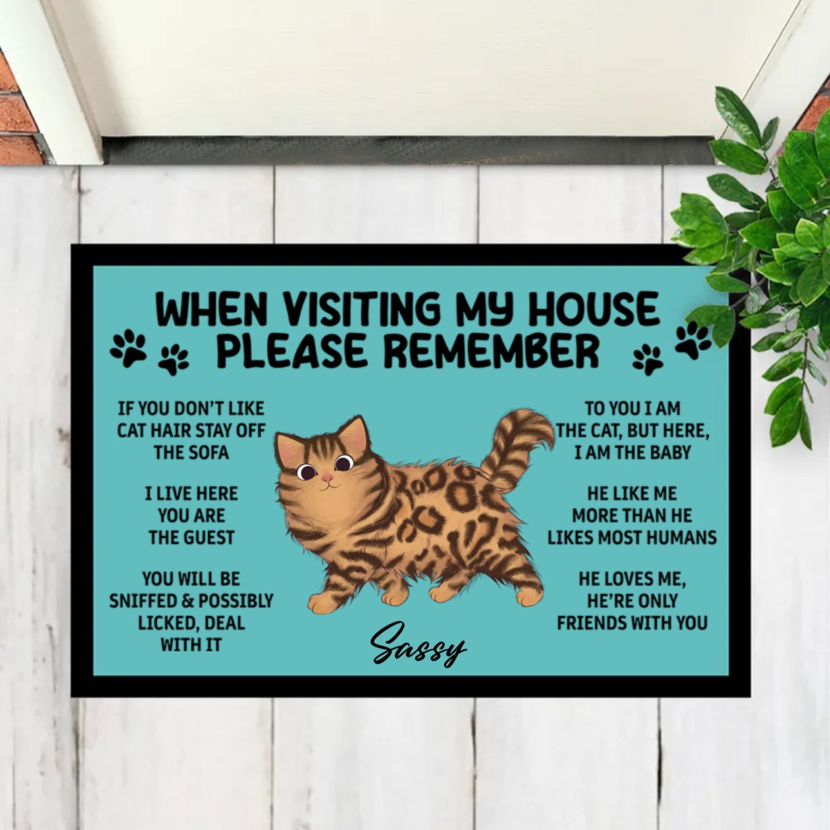 Cat Lovers - Please Remember When Visiting Cats House - Personalized Doormat - Makezbright Gifts