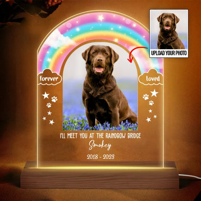 Dog Lovers - Gift For Dog Memorial Rainbow Bridge - Personalized Plaque LED Lamp Night Light - Makezbright Gifts