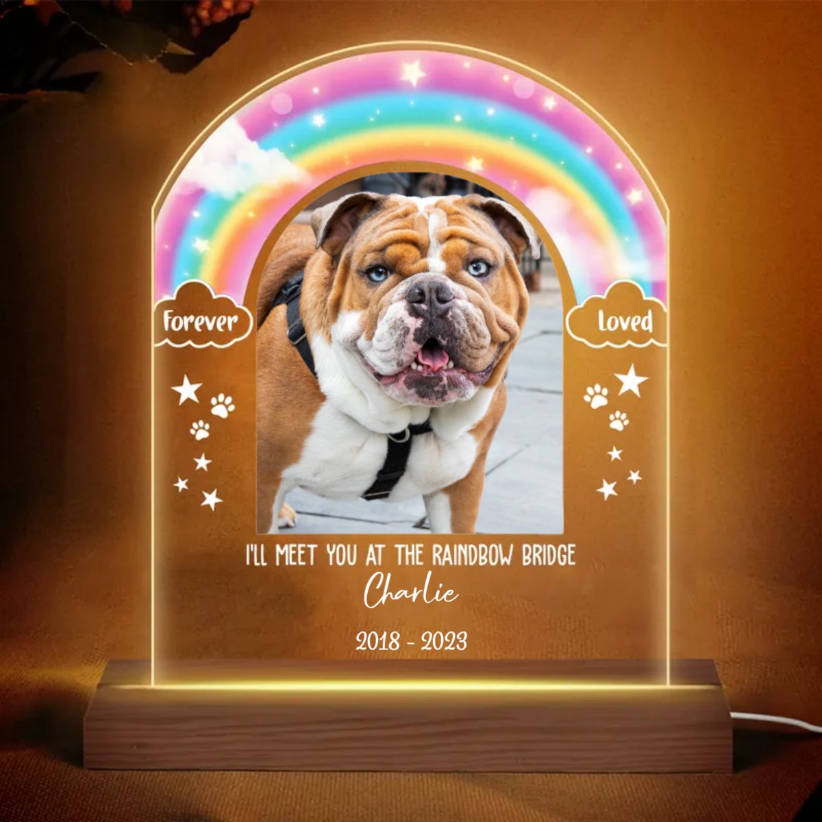 Dog Lovers - Gift For Dog Memorial Rainbow Bridge - Personalized Plaque LED Lamp Night Light - Makezbright Gifts