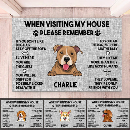 Dog Lovers - When Visit My House Please Remember - Personalized Doormat (Ver2) - Makezbright Gifts