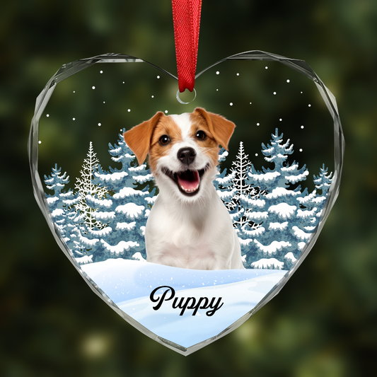 Custom Photo Pet Face Dog Cat Memorial - Personalized Heart Shaped Acrylic Ornament